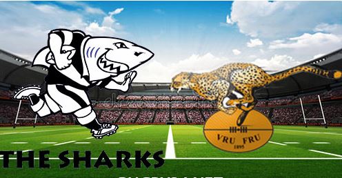 Sharks vs Cheetahs 9 August 2025 Rugby Full Match Replay Currie Cup